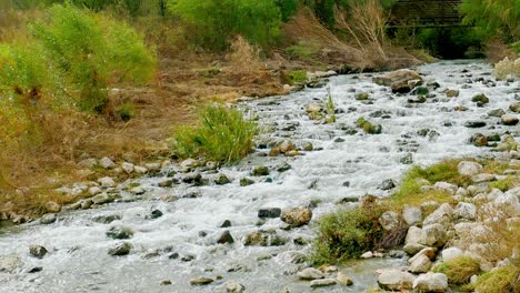 panning right river bed with shrubs on riverbank to water flowing over rocks with stream flowing over them