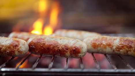 delicious juicy sausages, cooked on the grill with a fire