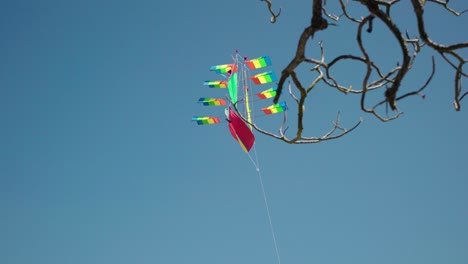 air ship kite fly