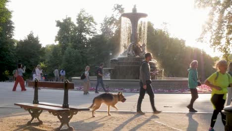people walking a dog near a galapagos fountain in retiro park, madrid. serene and joyful outdoor scene  before sunset.