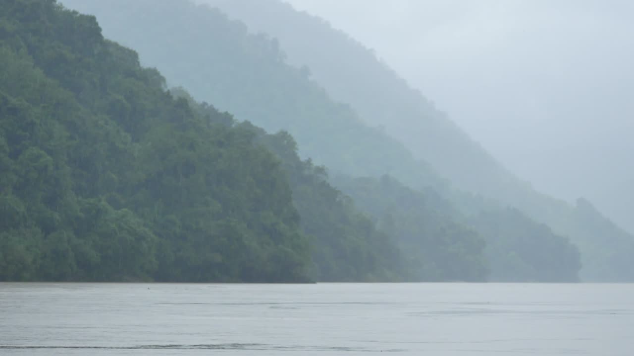 살윈 강의 열대우림