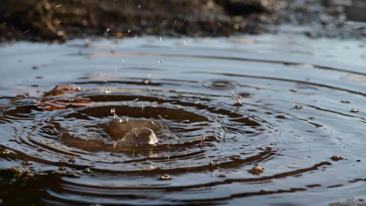 저녁 불빛에서 표면에 좋은 물방울 거시 비디오