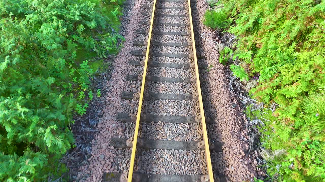 Drone footage follows empty railway tracks cutting through vibrant green vegetation in the Scottish Highlands, with natural daylight and smooth forward camera movement