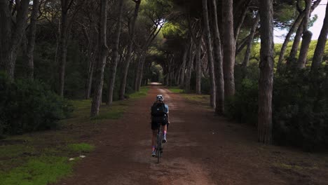 one young sporty woman cycling with a racing bike in a pine tree forest