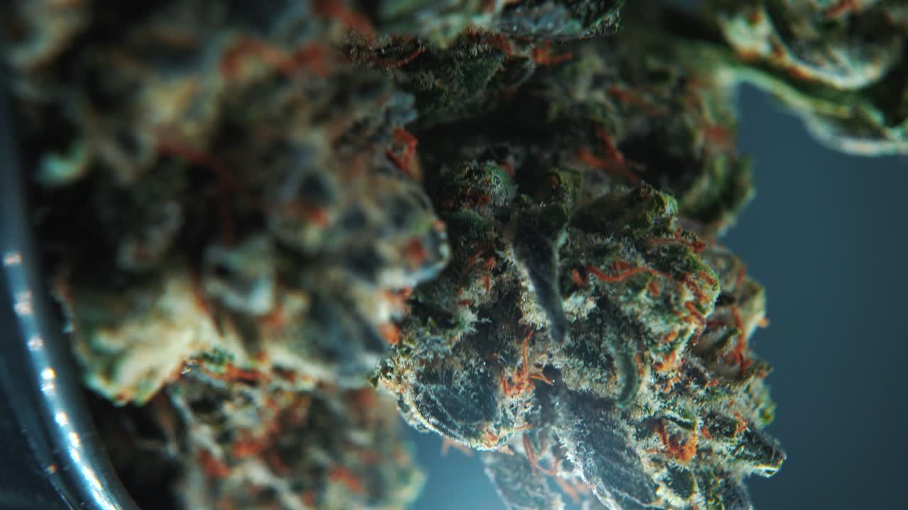 A vertical macro close up detailed shot of a cannabis plant, hybrid strains, Indica and sativa ,marijuana flower, on a 360 rotating stand in a shiny bowl, slow motion, 4K Video
