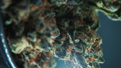 a vertical macro close up detailed shot of a cannabis plant, hybrid strains, indica and sativa ,marijuana flower, on a 360 rotating stand in a shiny bowl, slow motion, 4k video