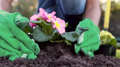 Sección-Media-De-Una-Mujer-Haciendo-Jardinería.