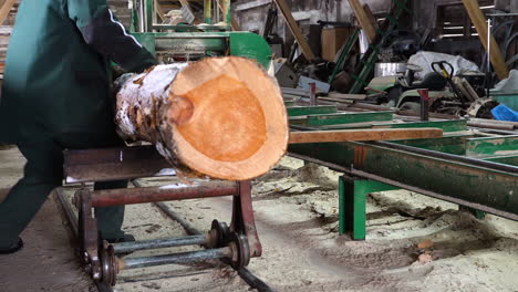 sawmill worker rolls log on stationary bandsaw and it almost falls, danger in workplace