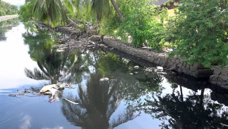basura en un río oscuro y contaminado.