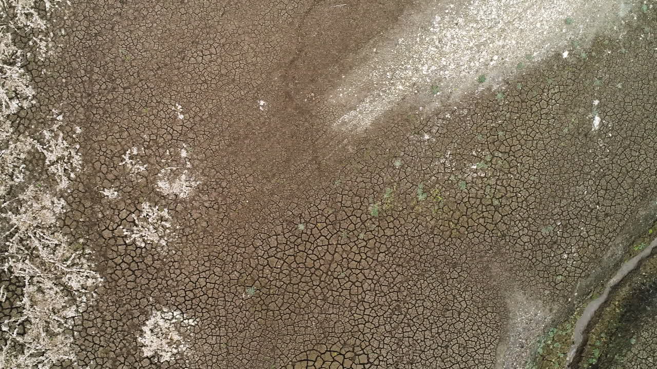 Dried-out land with cracked earth and dead plants