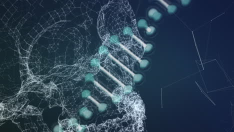 dna structure spinning against blue background