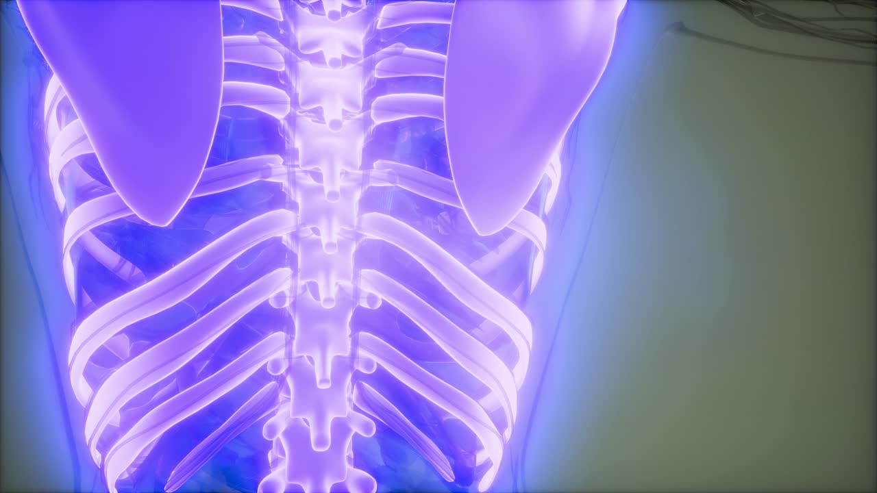 눈에 띄는  ⁇ 가 있는 투명한 인간 몸