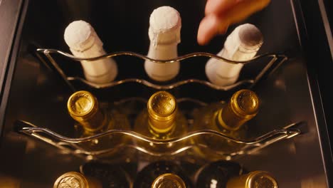 botellas de champán y vino en el refrigerador