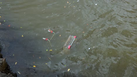 a shopping cart gradually sinks in murky water, surrounded by floating debris. the scene is captured in natural lighting