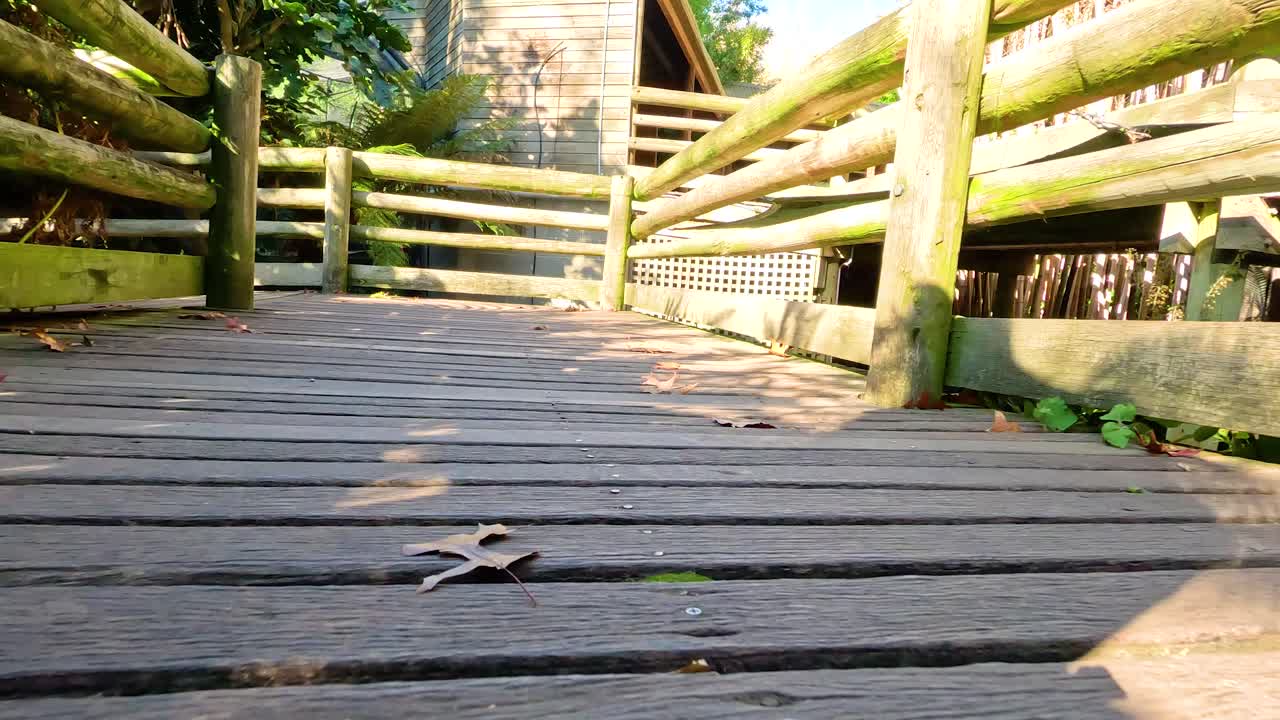pintoresco puente de madera rodeado de exuberante vegetación en el zoológico de melbourne