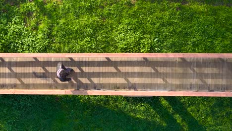 top view of a man walking across wooden bridge over greenery grass