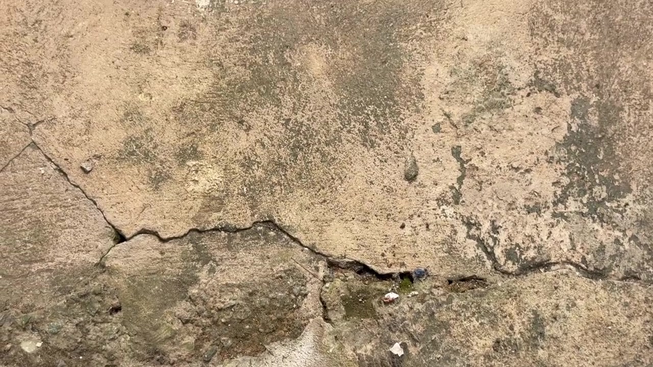 Sfondo di struttura in cemento sgangherato