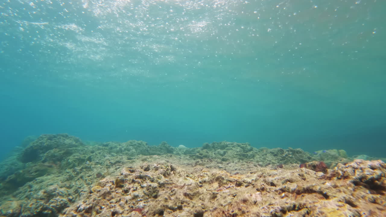 disparo submarino cinematográfico en cámara lenta de corales muertos en aguas claras en un día brillante y soleado en 4k, 120fps, slomo