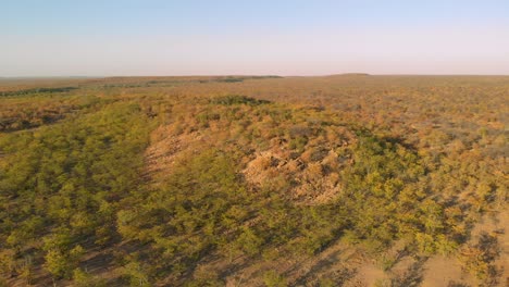 drone flying over wild farm