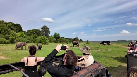 tourists enjoy a thrilling jeep safari experience in kaudulla national park, sri lanka, observing wild elephants in their natural habitat under a clear sky.