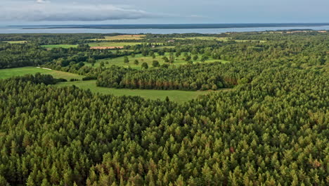 Flying-in-a-forward-direction-in-nature-over-forest,-fields,-and-islands-in-the-view