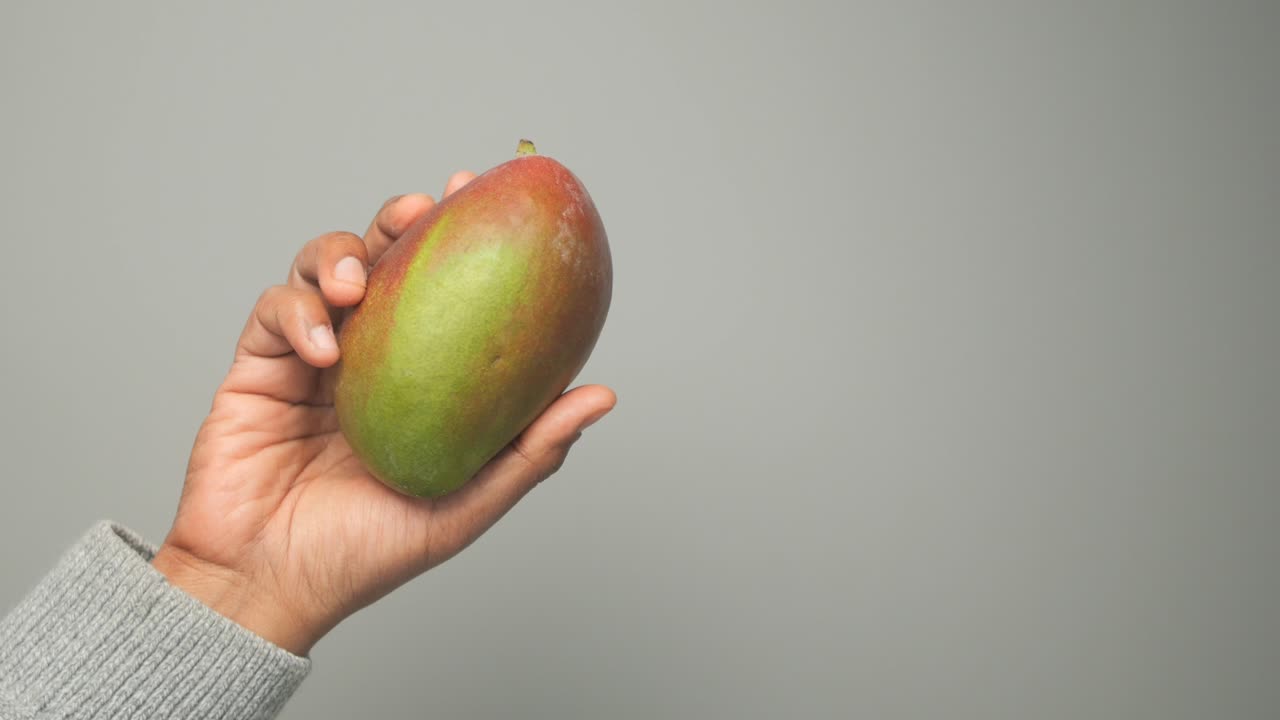 Hand Holding a Mango