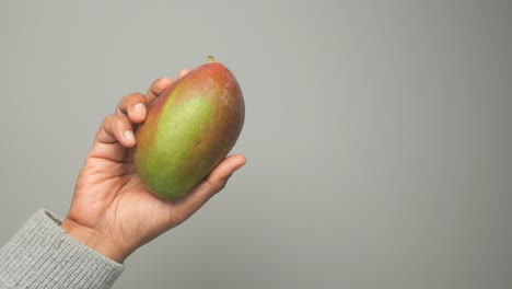 hand holding a mango