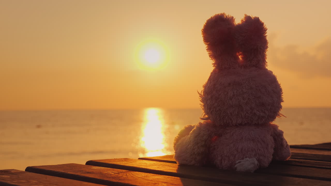 la liebre de peluche se encuentra con el amanecer en el concepto de los sueños de los niños del mar