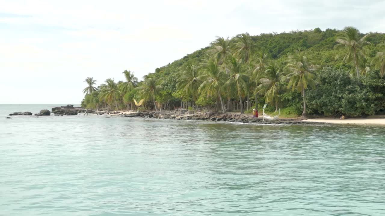 costa tropical con palmeras y aguas tranquilas en un día nublado