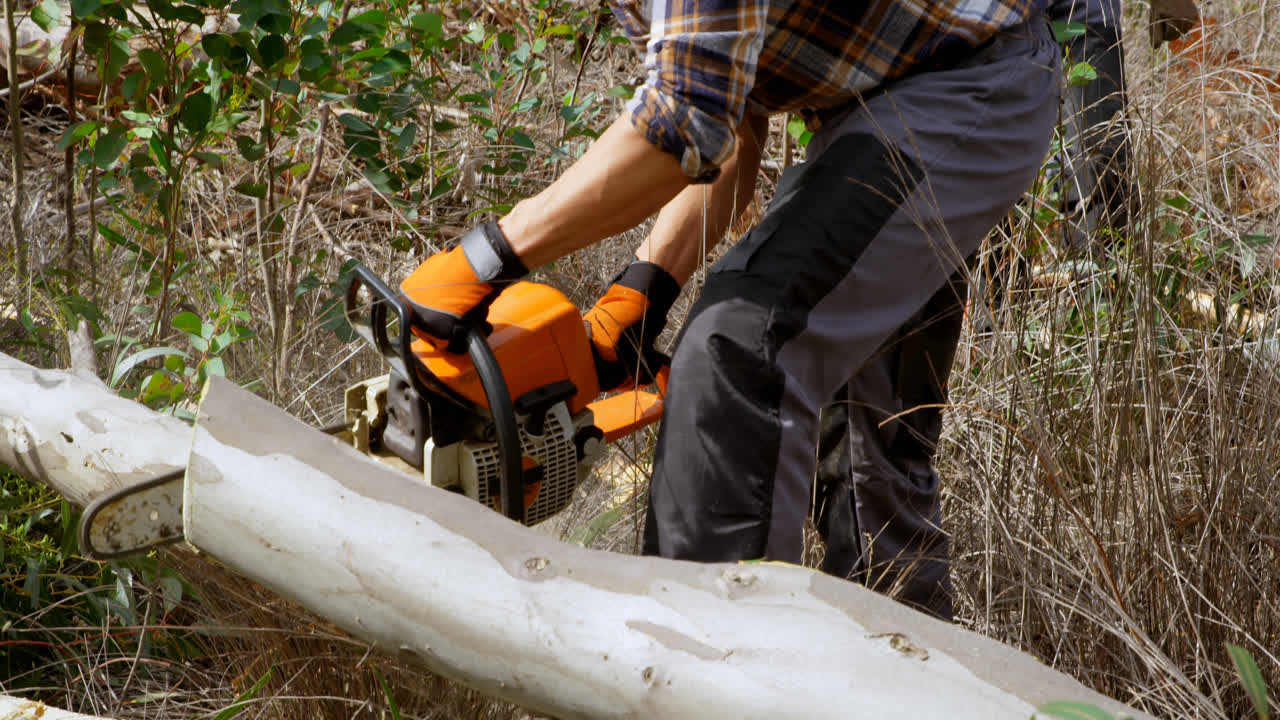 Lumberjack with chainsaw cutting tree trunk 4k