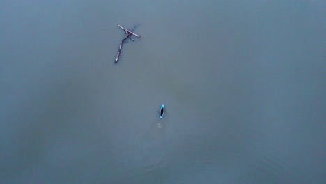 aerial birds eye view of blue paddieboard and paddleboarder passing by driftwood