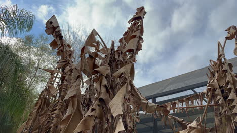 Dead-banana-trees-with-hanging-leaves-outside-screened-in-porch-near-palm-trees