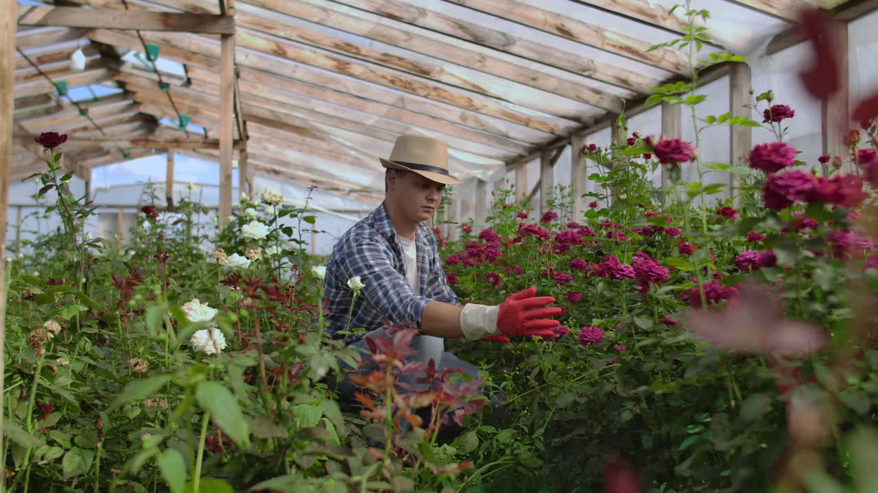 Young man shopping for decorative plants on a sunny floristic greenhouse market. Home and Garden concept.