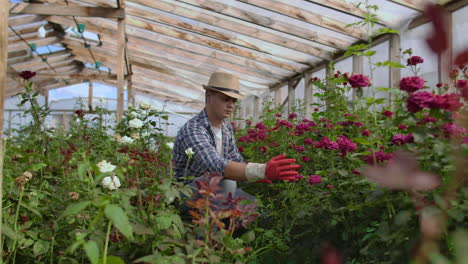 Young-man-shopping-for-decorative-plants-on-a-sunny-floristic-greenhouse-market.-Home-and-Garden-concept.