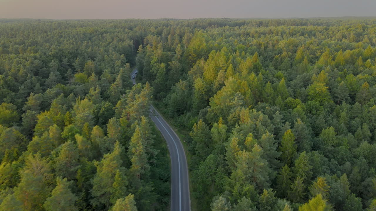 Aerial dolly right shot of car driving on road surrounded by green forest during daytime