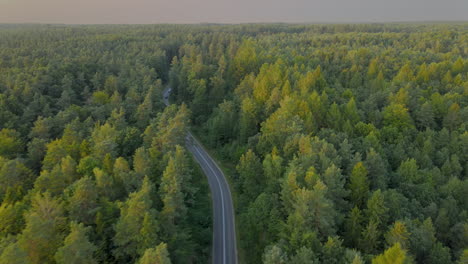 一辆车在白天被绿色森林包围的道路上行驶的空中拖车右侧镜头