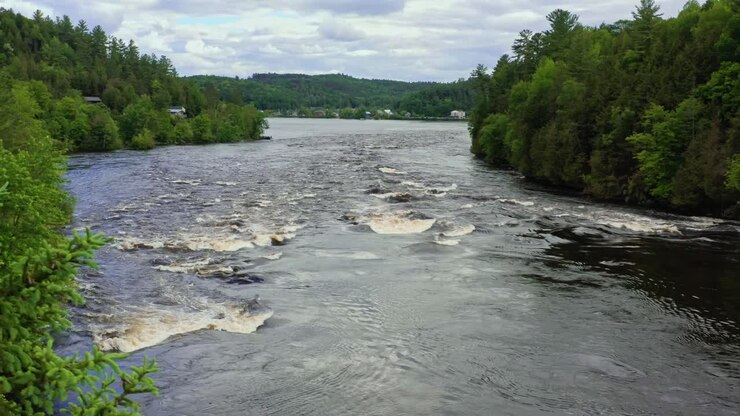 Lenta carrellata aerea a destra con un albero in primo piano che si sposta fuori dall'inquadratura per rivelare le rapide sul fiume Gatineau a Wakefield, Quebec, Canada.