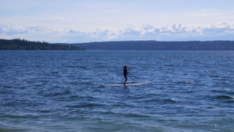 parque estatal isla camano, estado de washington