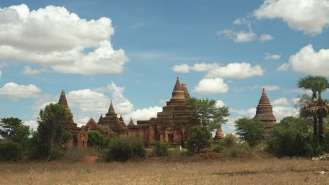 historical temples of bagan,myanmar almost covered in overgrowth in midday