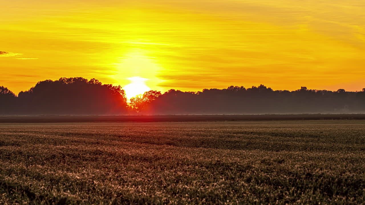 lapso de tiempo escénico en la puesta de sol de la hora dorada en tierras de cultivo con campos de trigo