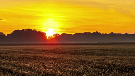 Timelapse-Escénico-Al-Atardecer-De-La-Hora-Dorada-En-Tierras-De-Cultivo-Con-Campos-De-Trigo