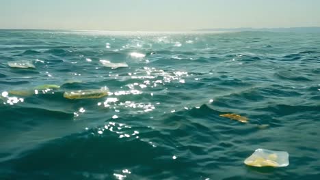 plastic and jellyfish debris in the ocean