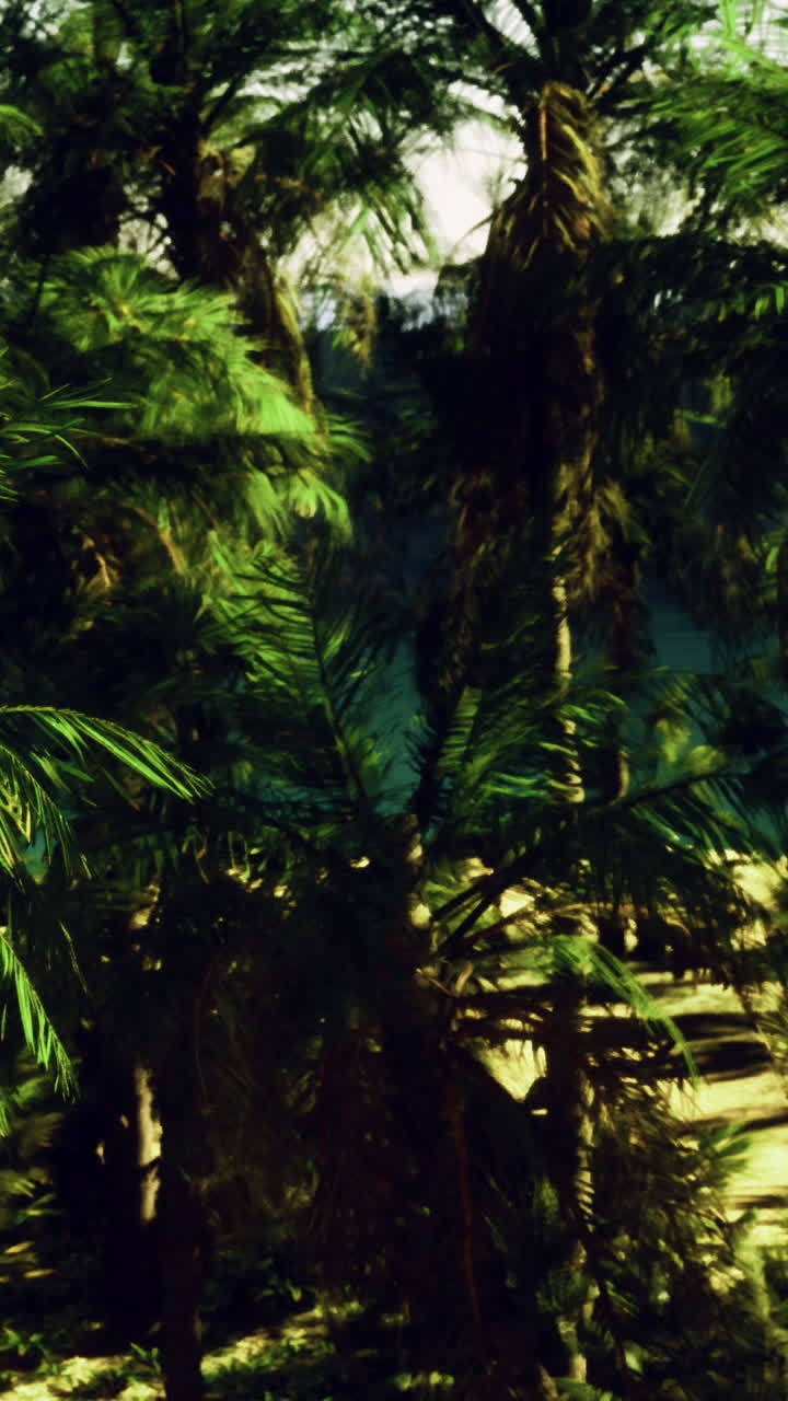 Palme in un ambiente tropicale durante le ore diurne, in un contesto naturale.