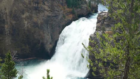 El-Gran-Cañón-Del-Parque-Nacional-De-Yellowstone-La-Cascada-Superior