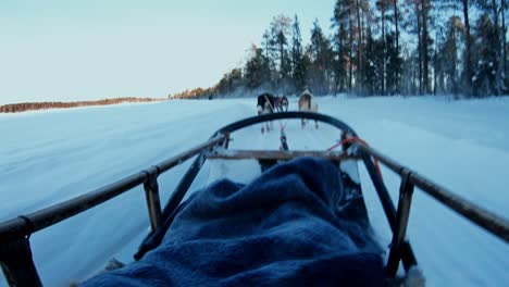 Person-riding-sleigh-with-huskies