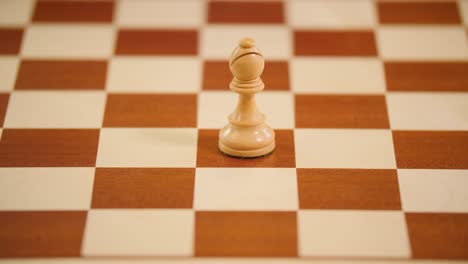 a beautiful bishop moved on a bright wooden chessboard