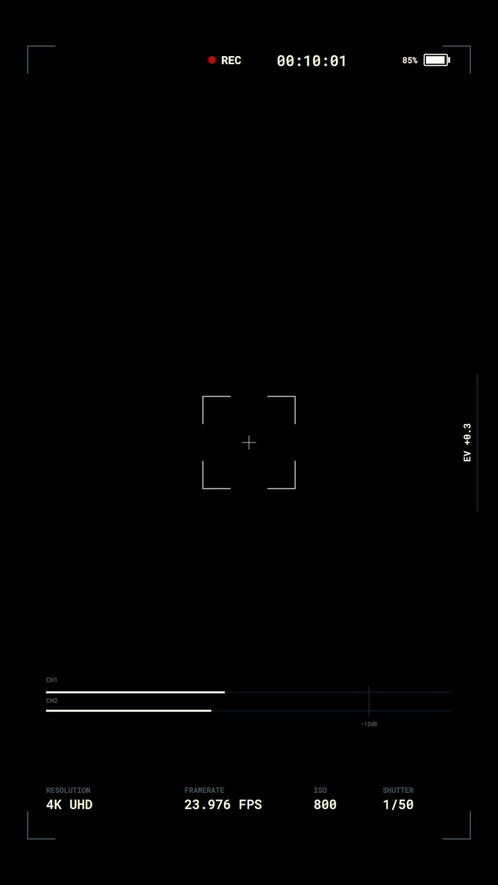 Digital Camera Recording Interface Overlay
