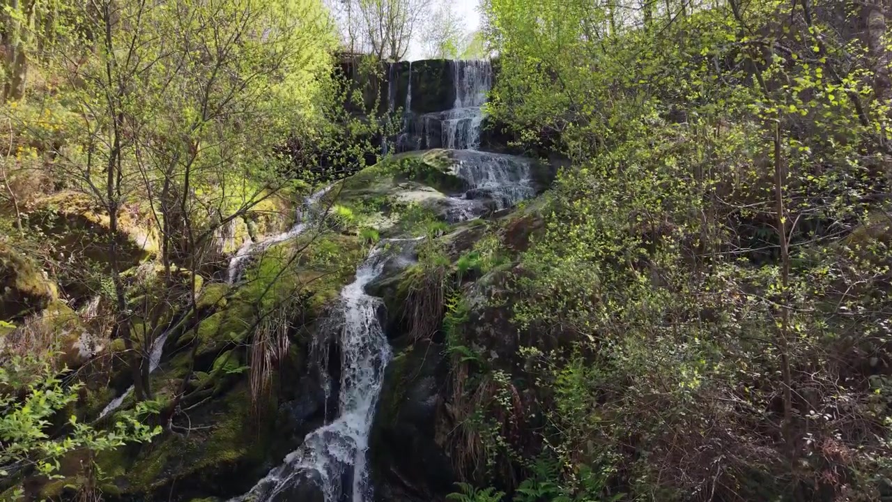Antica foresta con le cascate Fervenza da Ruxida in Galizia, Spagna. Ripresa aerea in ascesa.