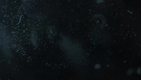animation of network of connections with spots and flashing lights