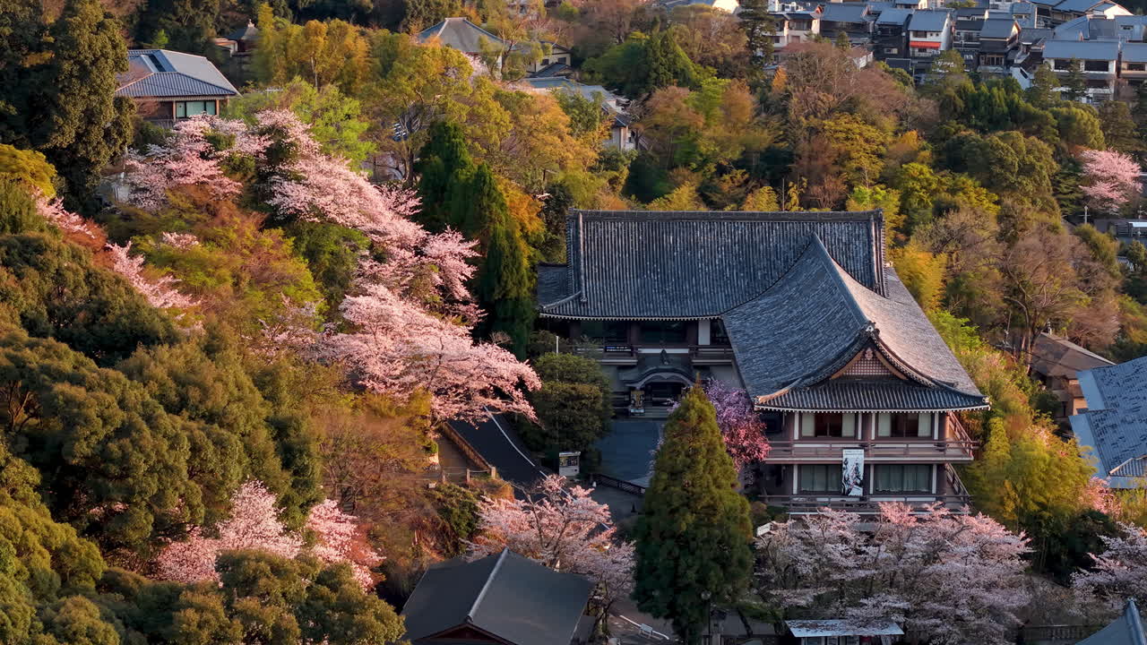 Aerial drone view of a temple surrounded by cherry blossom at sunset
